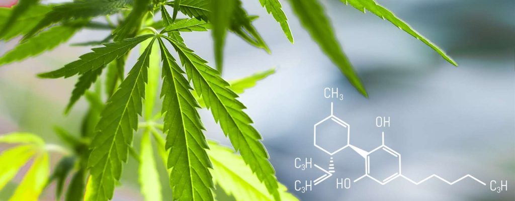 Cannabidiol benefits